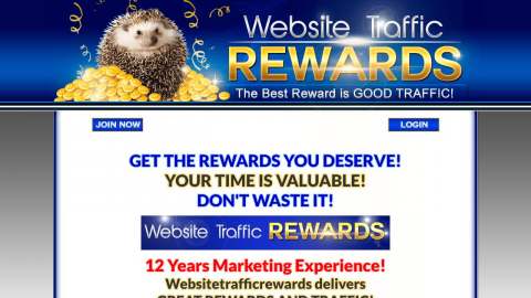 Screenshot preview of Website Traffic Rewards