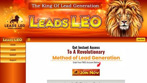 Screenshot preview of LeadsLeo