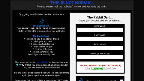 Screenshot preview of Rabbitholetraffic