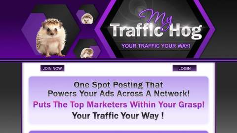 Screenshot preview of My Traffic Hog