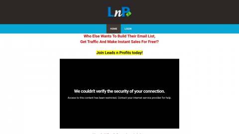 Screenshot preview of Leads N Profits