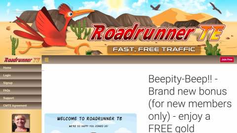 Screenshot preview of Road Runner TE