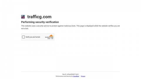 Screenshot preview of TrafficG